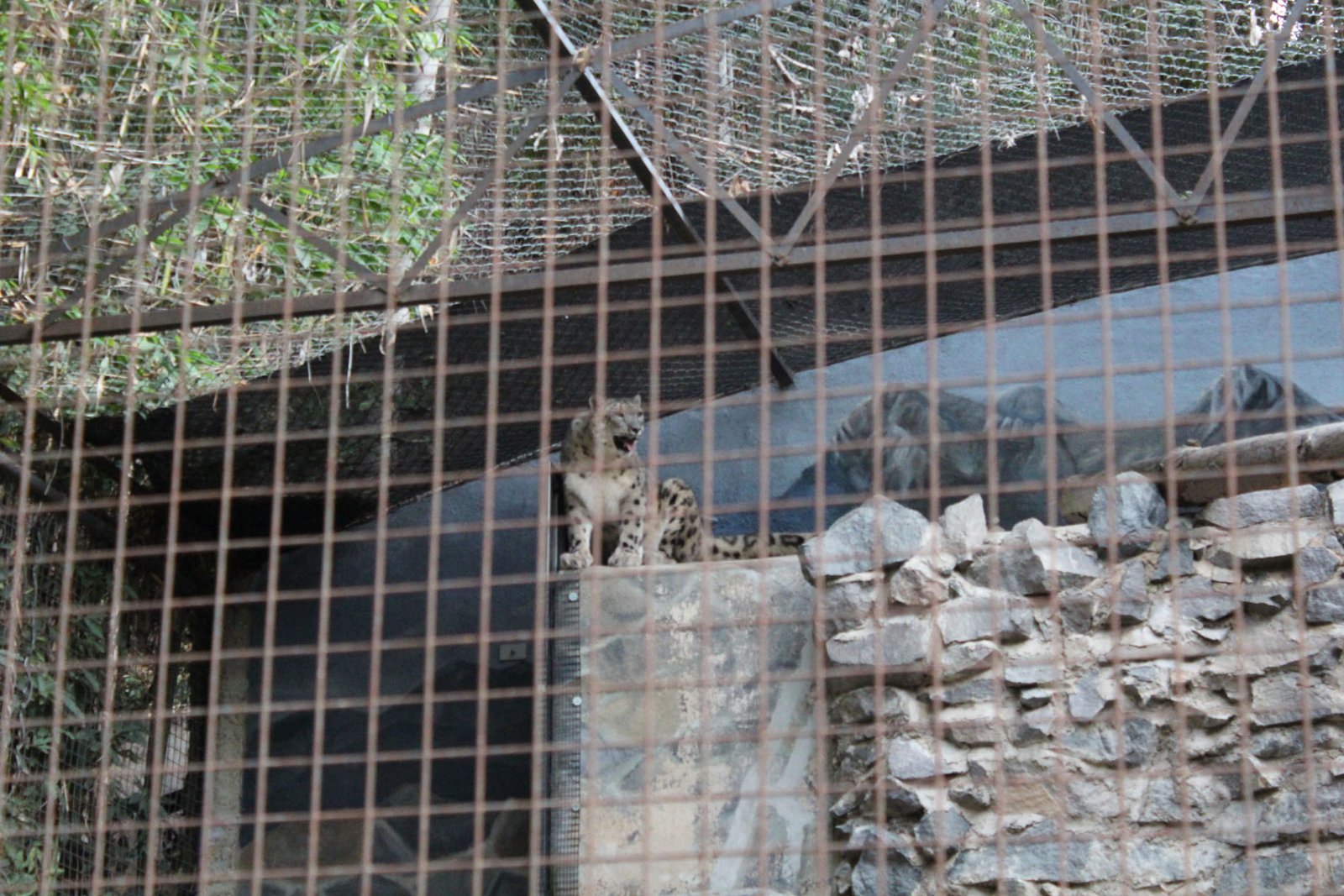 San Diego Zoo Part II 205